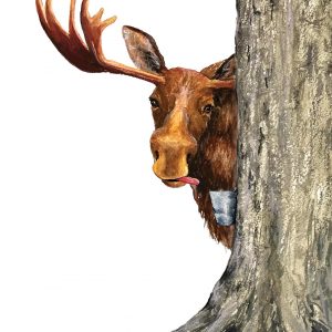 Maple Moose Print
