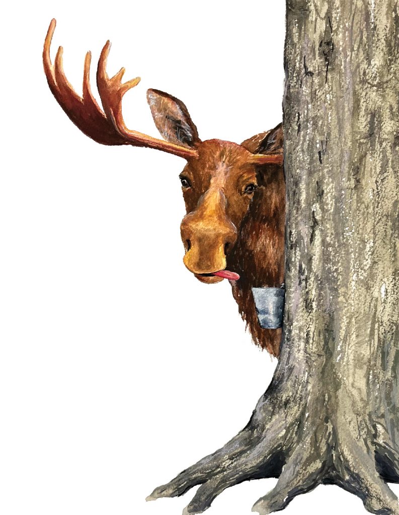 Maple Moose Print