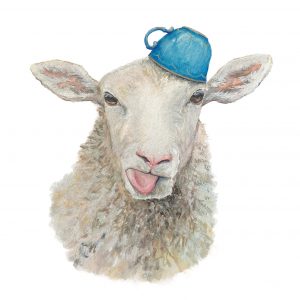 Silly Sheep