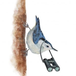 Bertie the Birder