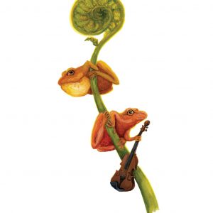 Fiddling Frogs