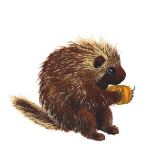 Pumpkin Pal